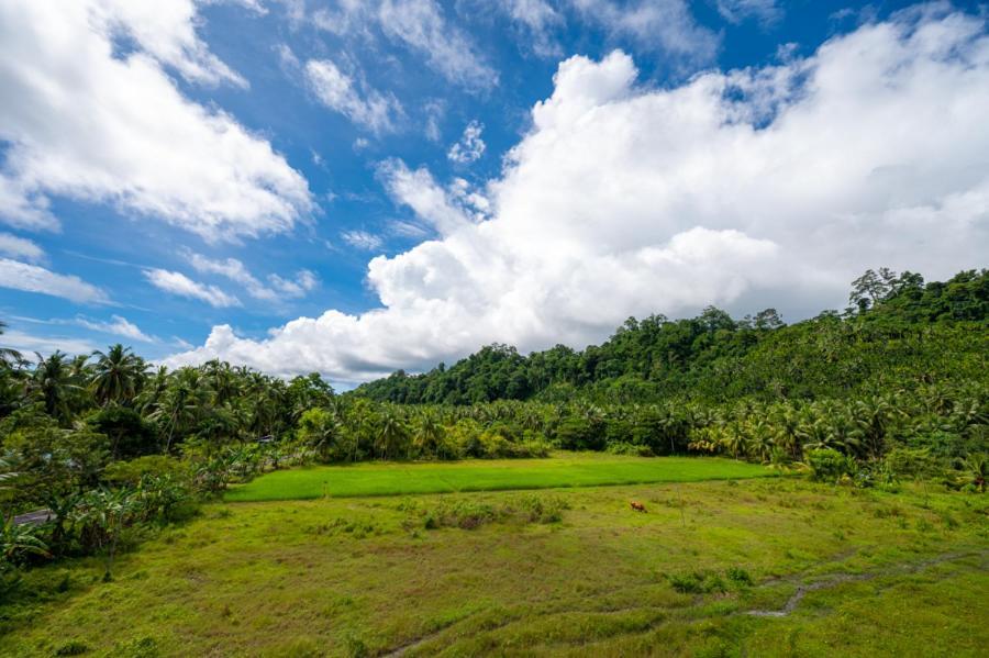 Anibesh Hotel Havelock Island Exterior photo